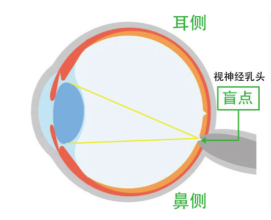 Vol.9 盲點(diǎn)在哪里?